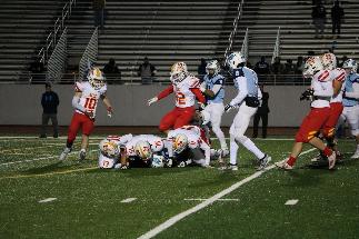 November 8 2019 IMG_9393784